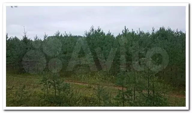 Участок 8,71 га (СНТ, ДНП) - Фото 1