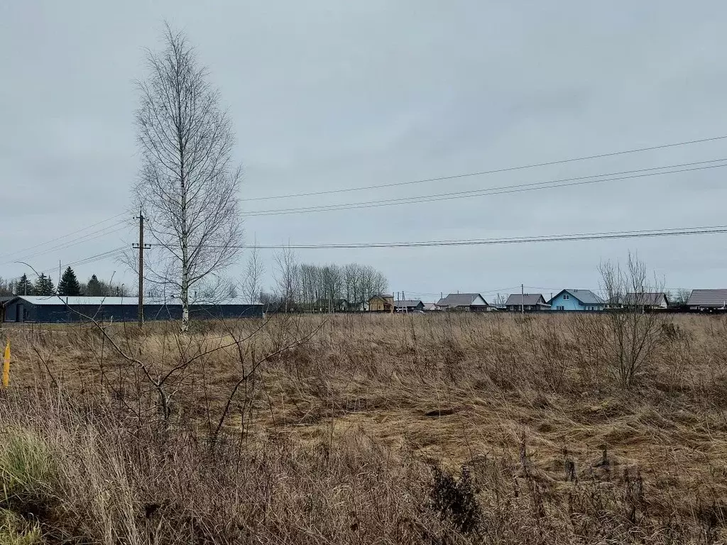 Участок в Псковская область, Псковский район, Логозовская волость  ... - Фото 2