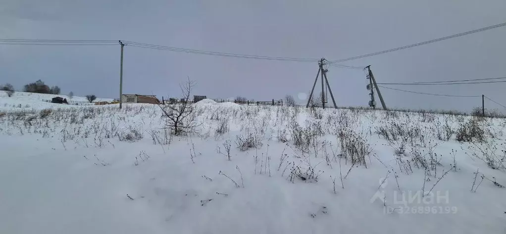 Участок в Алтай, Майминский район, пос. Алферово ул. И.А. Шаркова, 33 ... - Фото 1