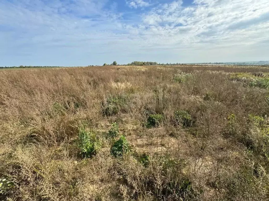 Участок в Вологодская область, д. Абакшино ул. Панкратова (15.0 сот.) - Фото 1