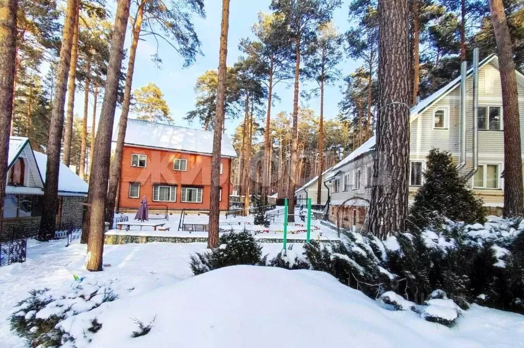 Коттедж в Новосибирская область, Новосибирский район, Кудряшовский дп ... - Фото 1