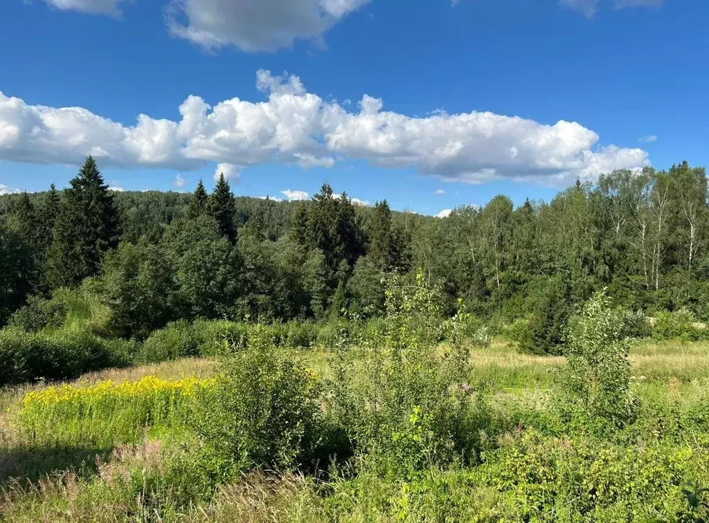 Участок, 34 сот., поселения (ижс) - Фото 2