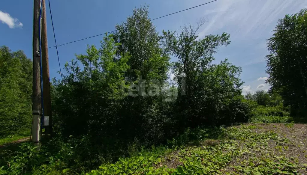 Участок в Томская область, Томск пос. Апрель, ул. Есенина (13.0 сот.) - Фото 2