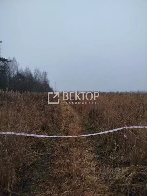 Участок в Костромская область, Кострома ул. Счастливая (13.5 сот.) - Фото 2