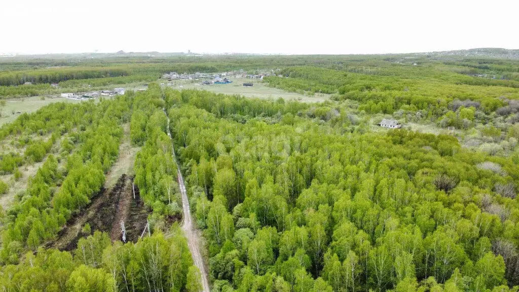 Участок в Хабаровск, садовое товарищество Виктория (18.6 м) - Фото 0