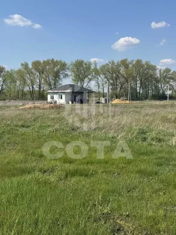 Участок в Воронежская область, с. Новая Усмань ул. Дачная (9.0 сот.) - Фото 2