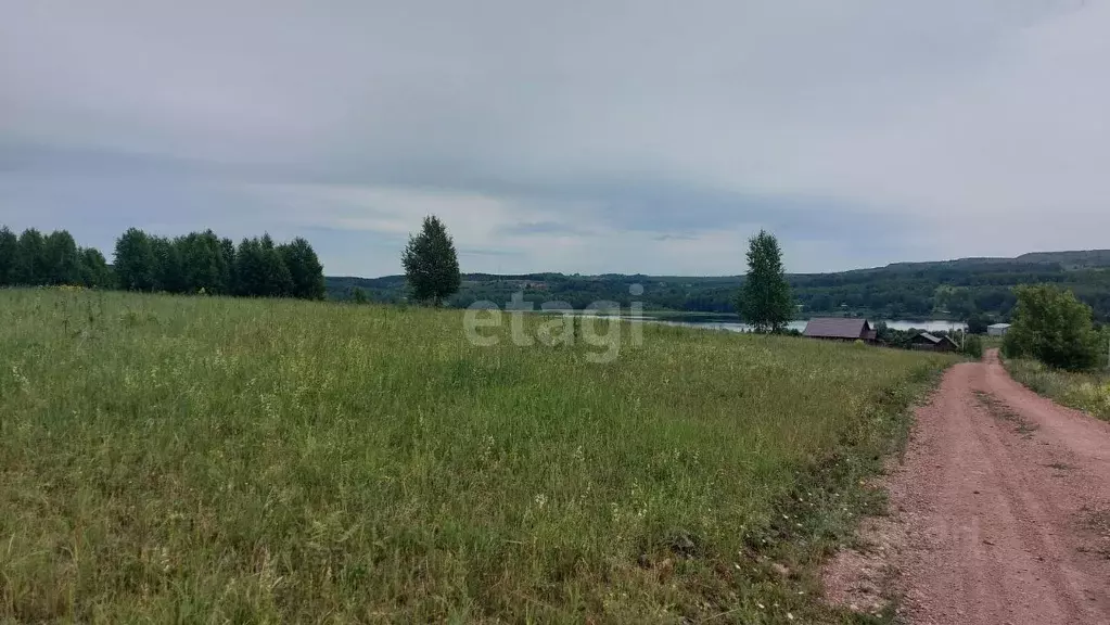 Участок в Кемеровская область, Новокузнецкий муниципальный округ, с. ... - Фото 2