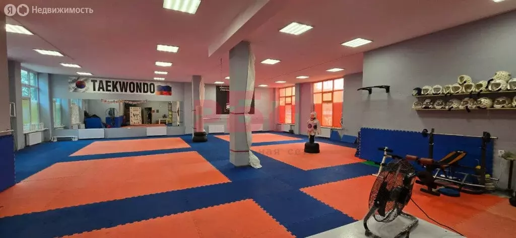 Помещение свободного назначения (243.8 м) - Фото 1