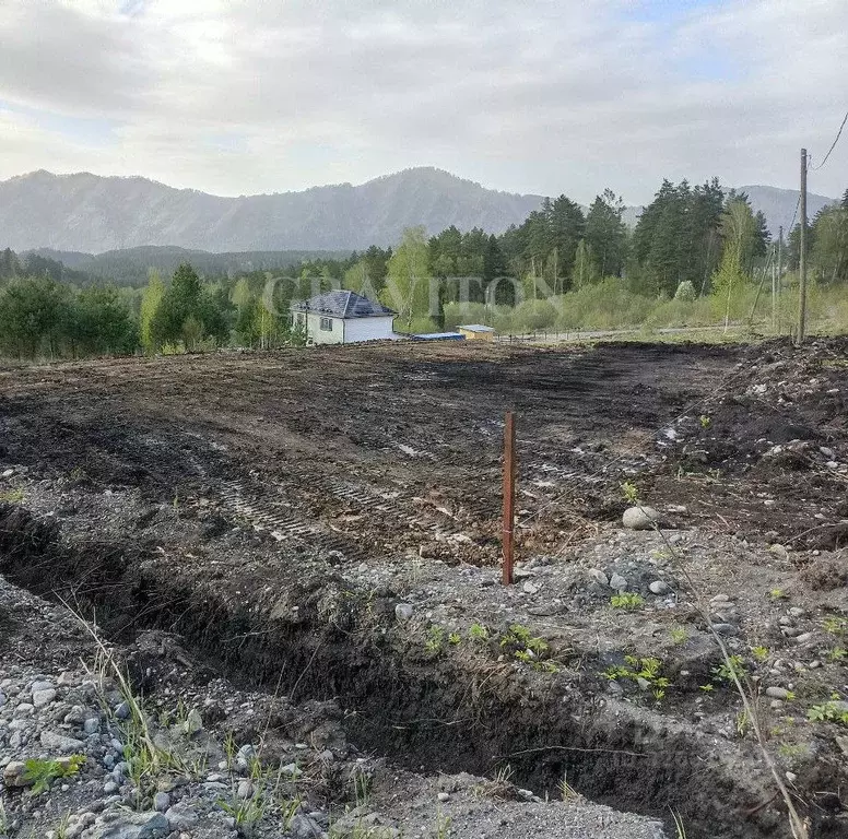Участок в Алтай, Майминский район, Манжерокское с/пос, с. Озерное ул. ... - Фото 2