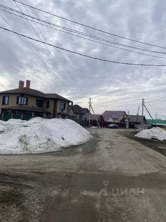 Участок в Новосибирская область, Новосибирский район, с. Криводановка  ... - Фото 2