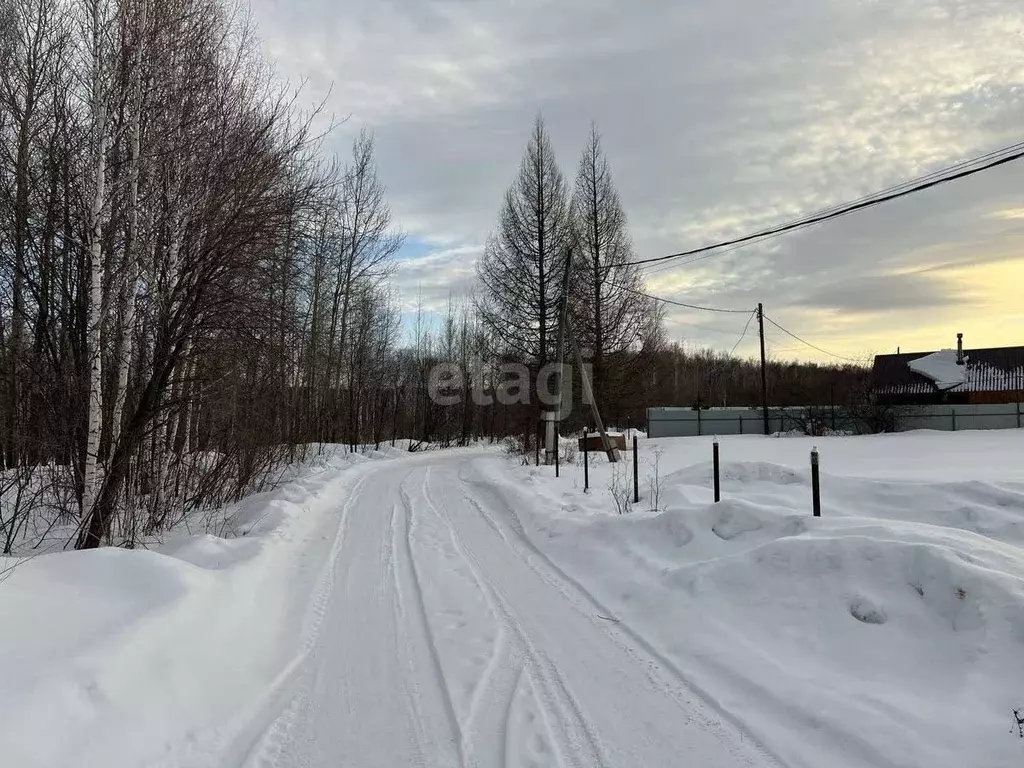 Участок в Тюменская область, Нижнетавдинский район, Сундукуль СНТ  ... - Фото 0