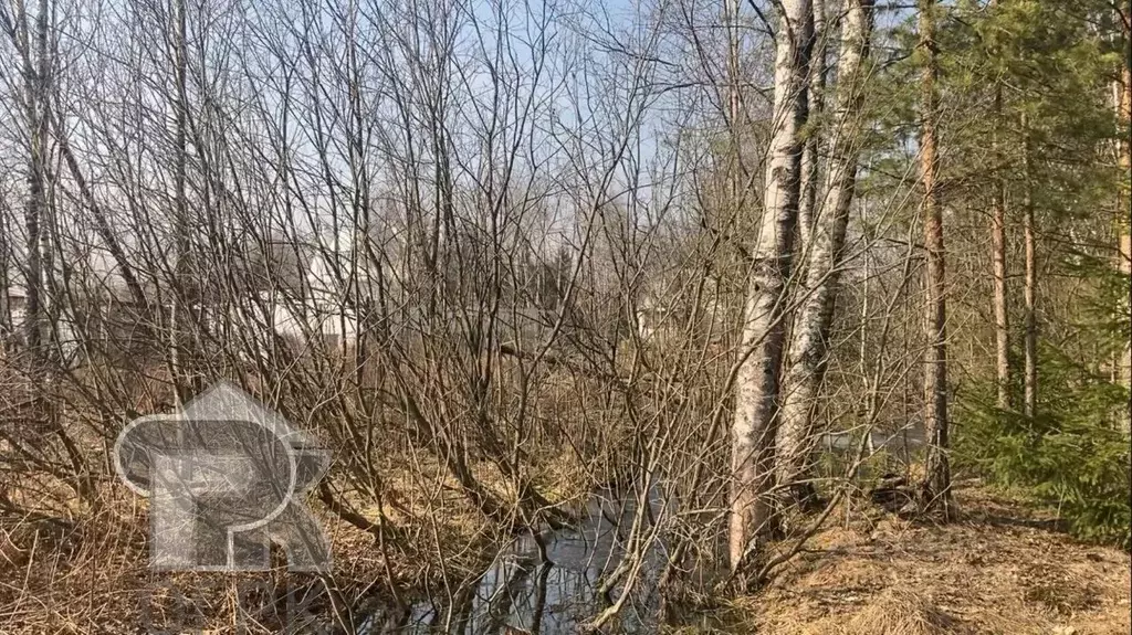 Участок в Московская область, Солнечногорск городской округ, Колледж ... - Фото 1