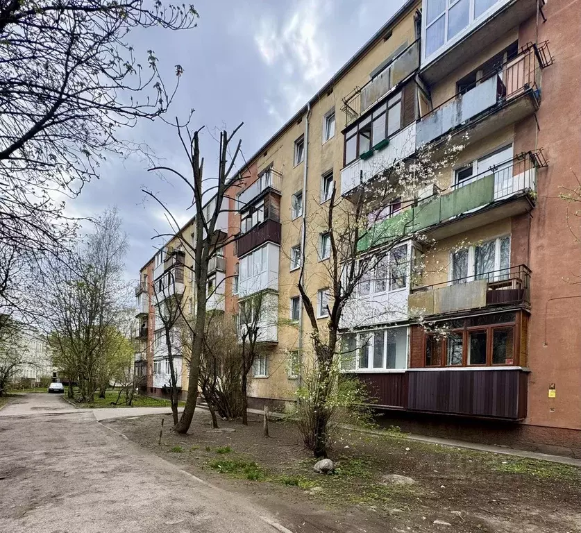 1-к кв. Калининградская область, Калининград ул. Александра Невского, ... - Фото 0