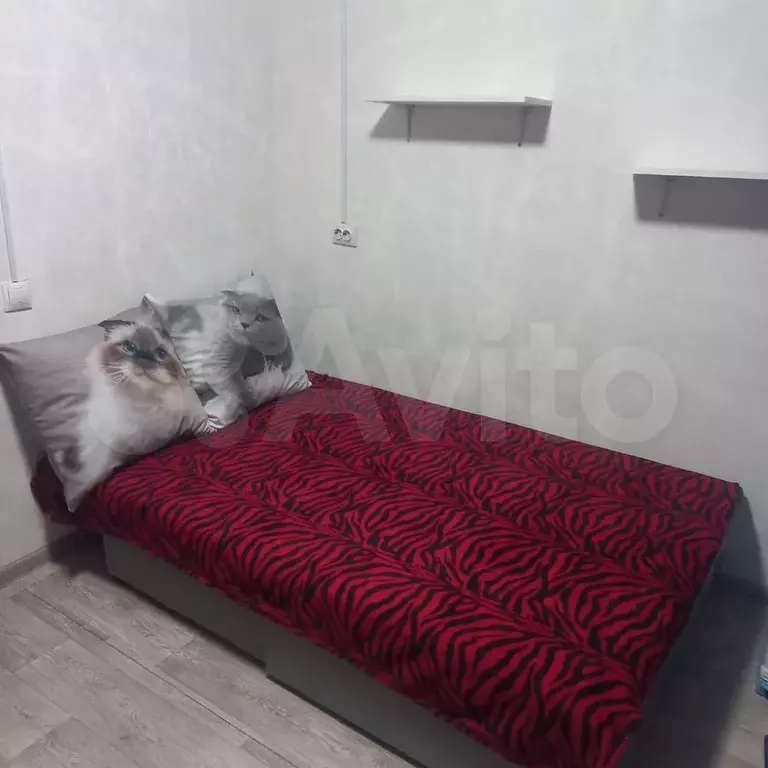 Квартира-студия, 14 м, 4/5 эт. - Фото 1