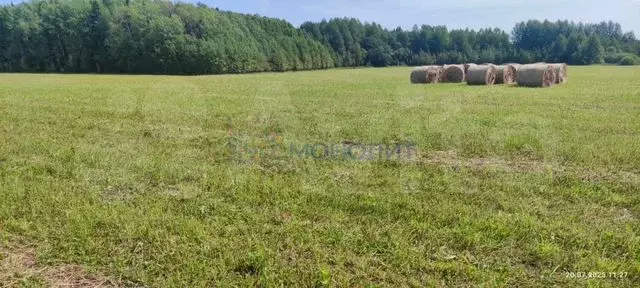 Участок 715,81 га (СНТ, ДНП) - Фото 0
