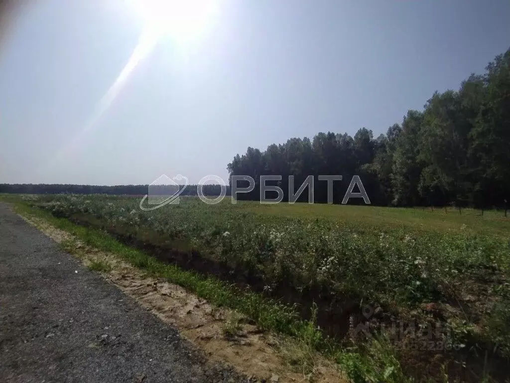 Участок в Тюменская область, Тюмень Велижанский тракт, 7-й км (8.0 ... - Фото 0
