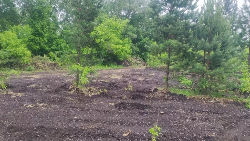 Участок в Челябинская область, Сосновский муниципальный округ, пос. ... - Фото 2