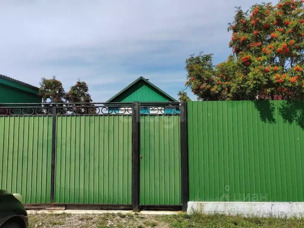 Дом в Бурятия, Кабанский район, с. Истомино  (30 м) - Фото 1