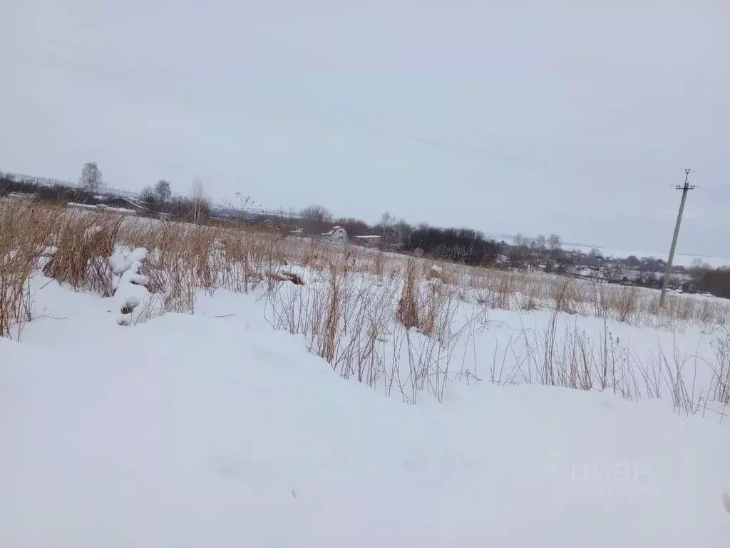 Участок в Мордовия, Ромодановский район, с. Пятина Советская ул. (24.5 ... - Фото 1