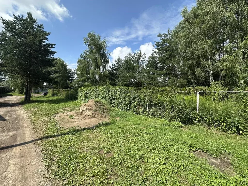 Участок в Московская область, Богородский городской округ, д. Кабаново ... - Фото 1