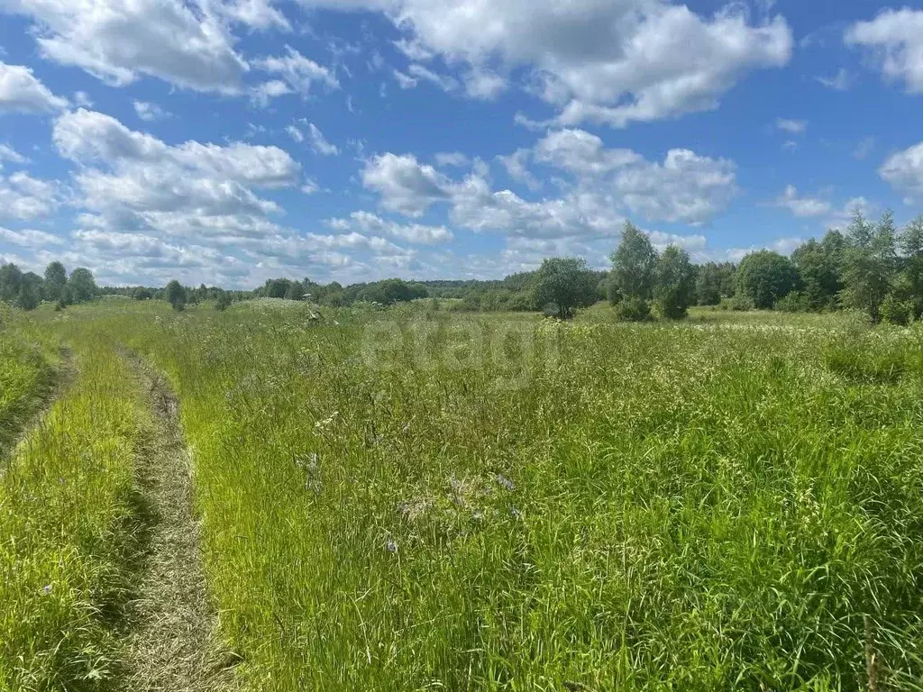 Участок в Ярославская область, Даниловский муниципальный округ, д. ... - Фото 2
