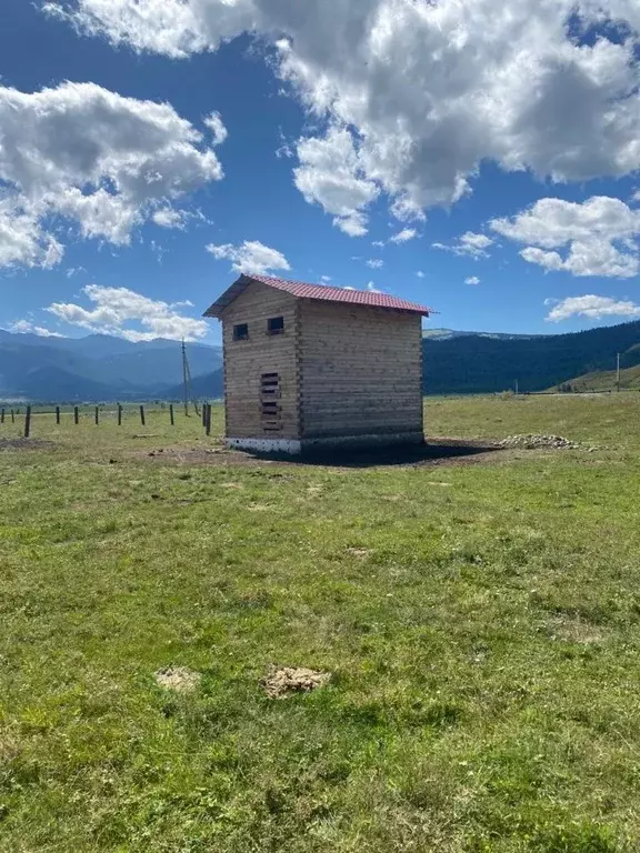 Участок в Алтай, Усть-Коксинский район, с. Верх-Уймон ул. Полевая ... - Фото 2