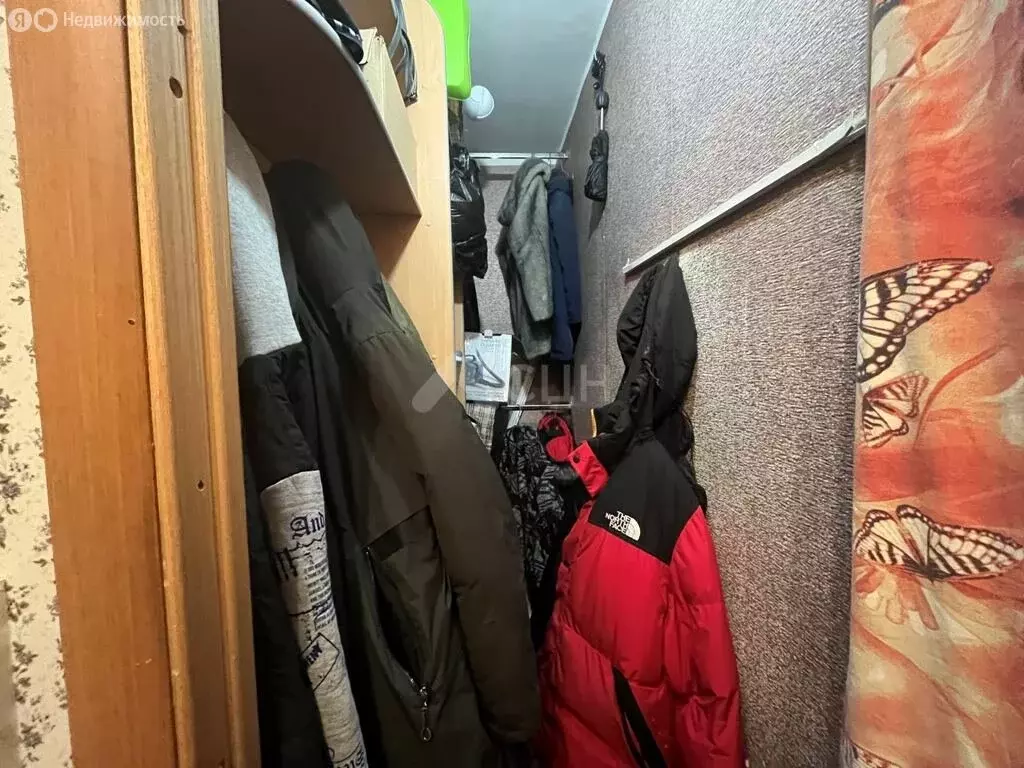 1-комнатная квартира: Саров, Московская улица, 22к1 (27.9 м) - Фото 1