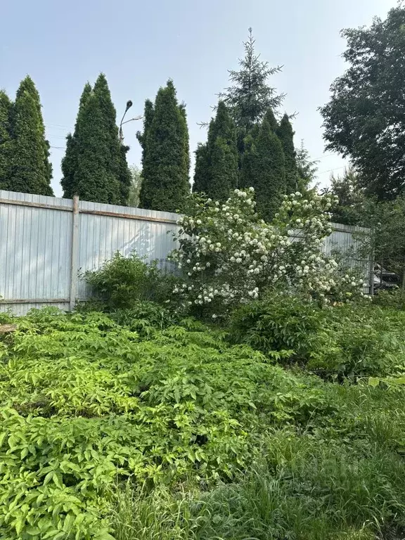 Дом в Тульская область, Тула городской округ, д. Петрово 23 (50 м) - Фото 1
