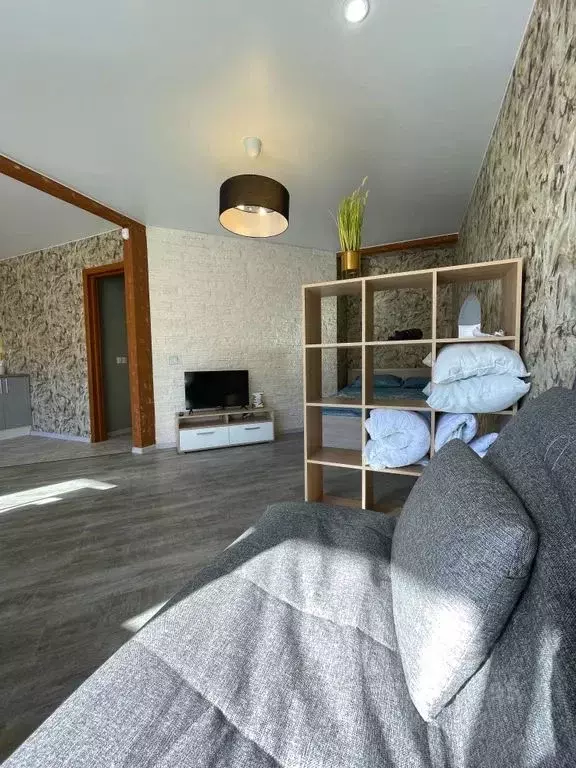 Студия Псковская область, Псковский район, Завеличенская волость, д. ... - Фото 1