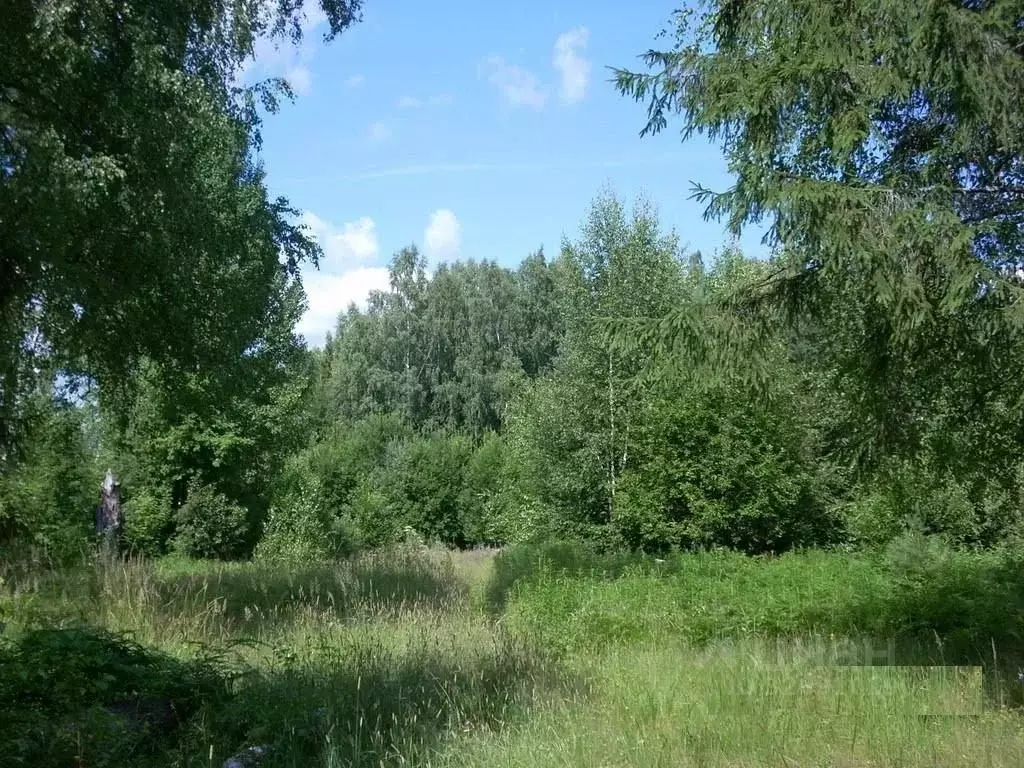 Участок в Тверская область, Кимрский муниципальный округ, д. Одинцово  ... - Фото 2