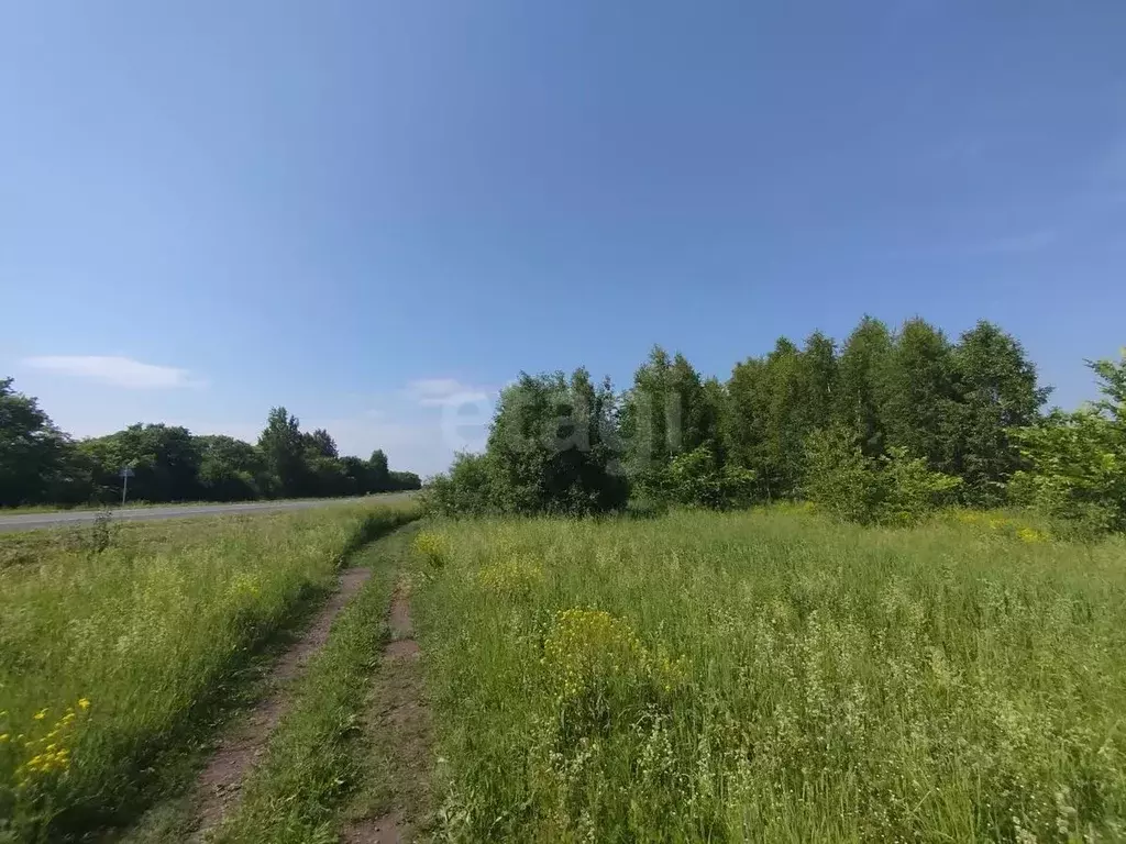 Участок в Кемеровская область, Кемерово Журавлевская ул. (15.0 сот.) - Фото 2