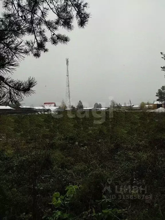 Участок в Архангельская область, Котлас муниципальное образование, д. ... - Фото 1