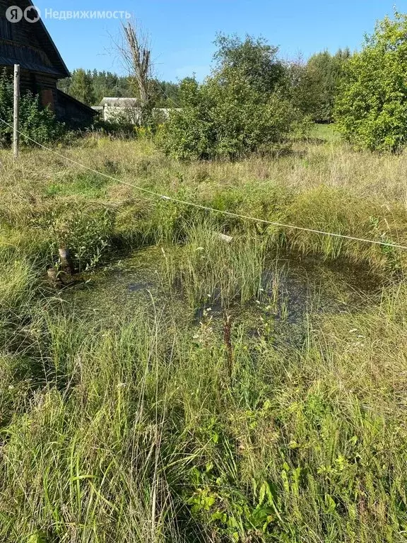 Дом в Пушкиногорский район, Велейская волость, деревня Сучная (49.8 м) - Фото 0