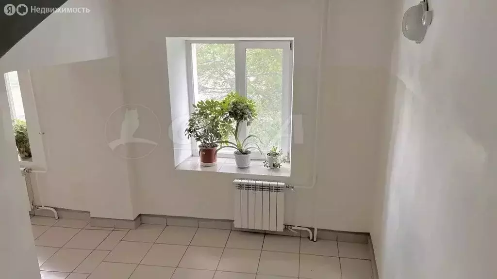 Квартира-студия: Тюмень, улица Бабарынка, 65 (30 м) - Фото 1