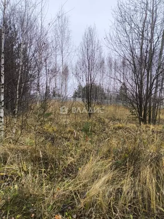 Участок в Нижегородская область, Нижний Новгород 2-я стройка СНТ,  ... - Фото 1