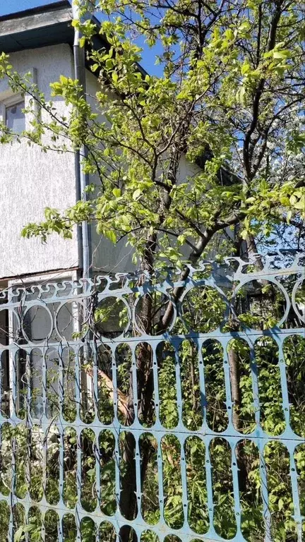 Дом 53 м на участке 10 сот. - Фото 0