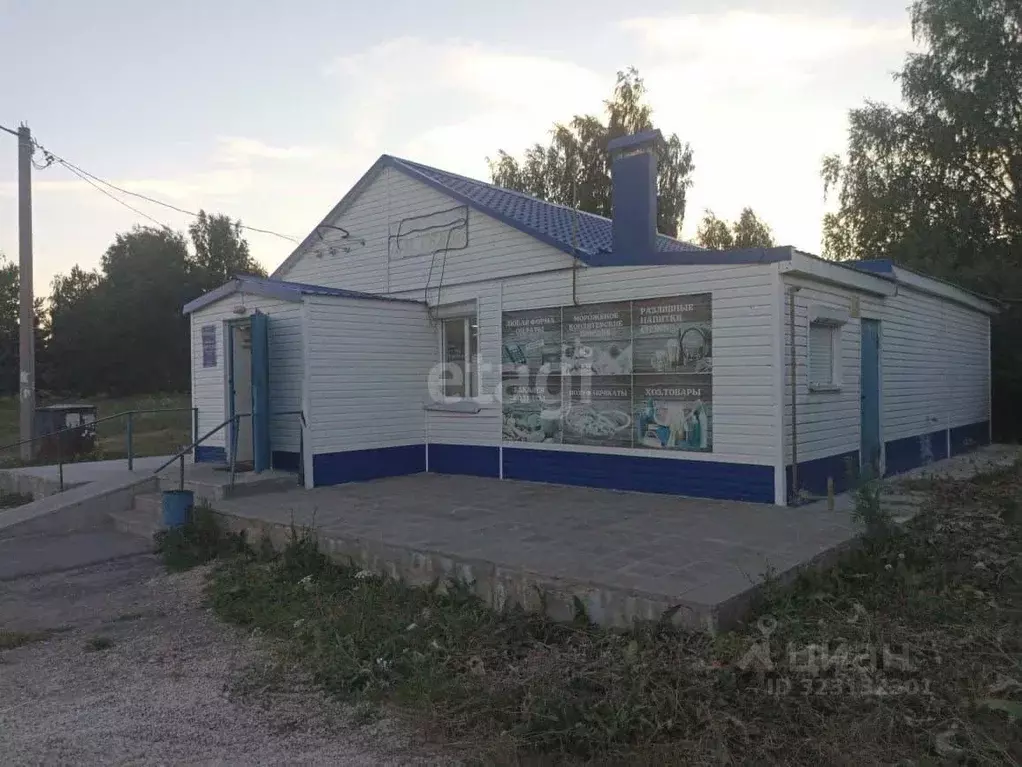 Торговая площадь в Липецкая область, Лебедянский район, ... - Фото 2