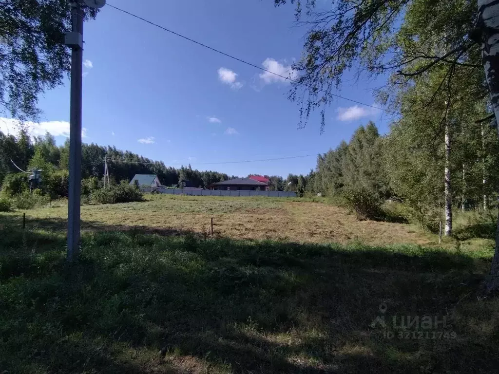 Участок в Ярославская область, Рыбинский муниципальный округ, д. ... - Фото 0