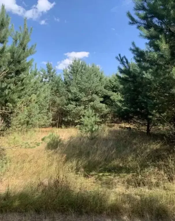 Участок в Тульская область, Суворовский район, Северо-Западное с/пос, ... - Фото 1