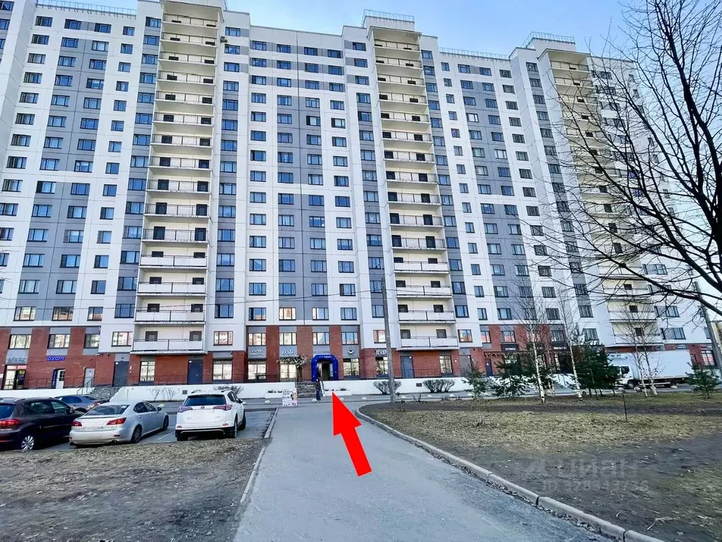 Помещение свободного назначения в Санкт-Петербург Богатырский просп., ... - Фото 2