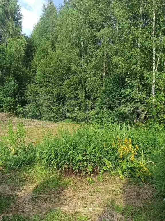 Участок 12 сот. (ИЖС) - Фото 0