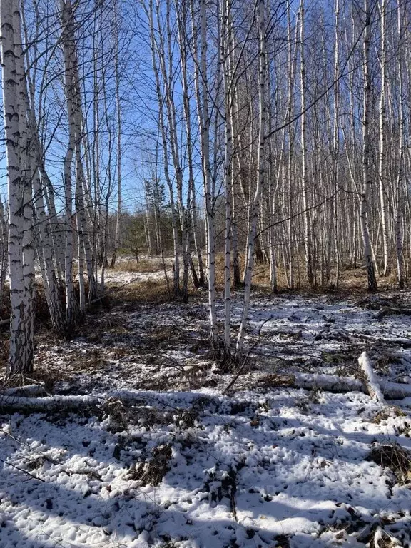 Участок в Челябинская область, Сосновский муниципальный округ, д. ... - Фото 1