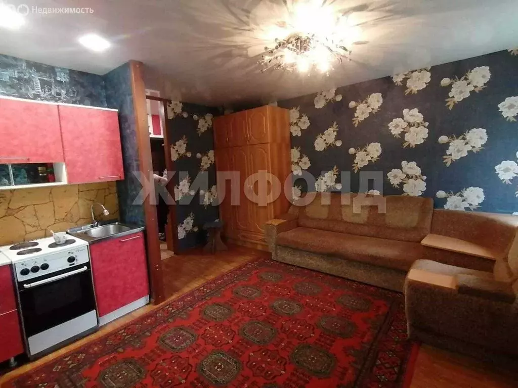 Квартира-студия: Барнаул, 1-я Западная улица, 55к1 (24 м) - Фото 0