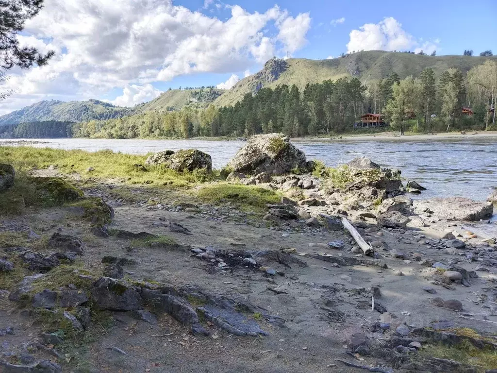 Участок в Алтай, Майминский район, с. Соузга Набережная ул., 15 (10.5 ... - Фото 2