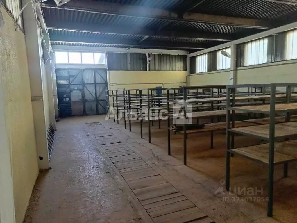 Офис в Ростовская область, Волгодонск ул. Химиков, 14А (1773 м) - Фото 1