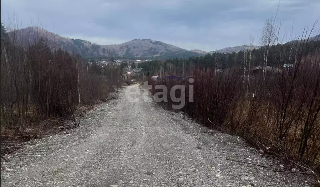 Участок в Алтай, Майминский район, Манжерокское с/пос, с. Озерное  ... - Фото 1