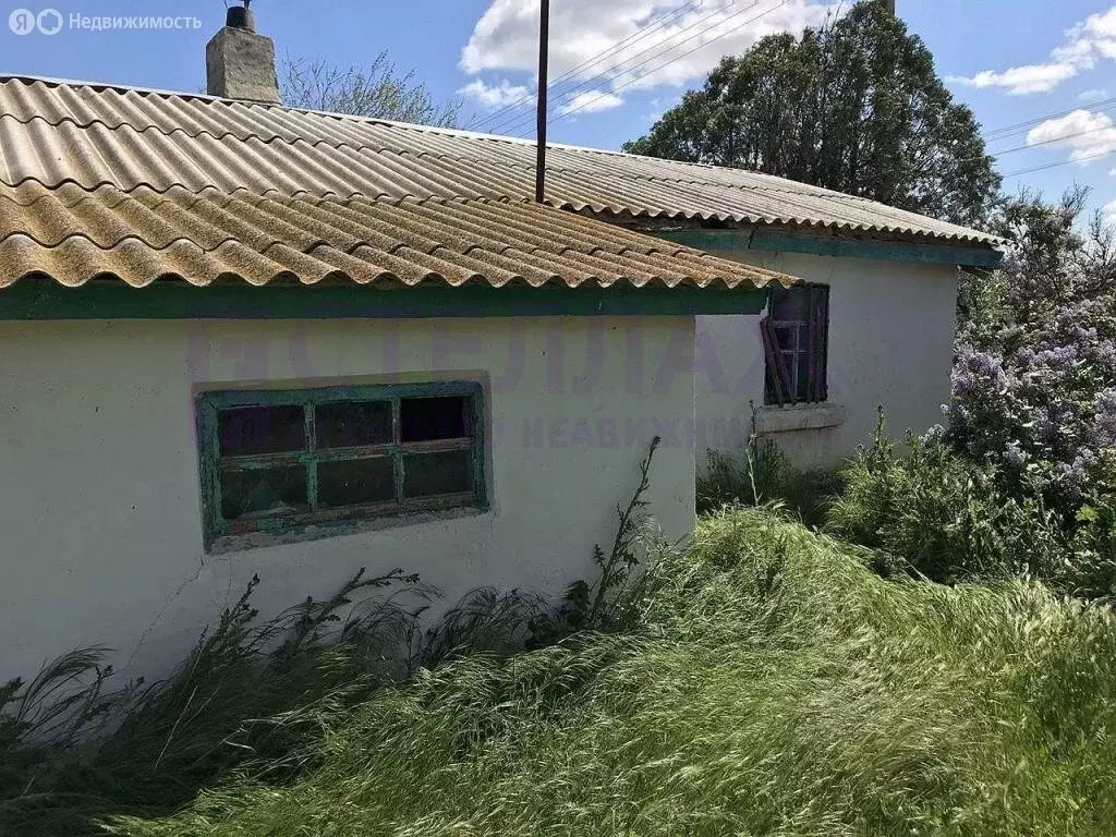 Участок в Синицынское сельское поселение, село Васильковое (15 м) - Фото 2