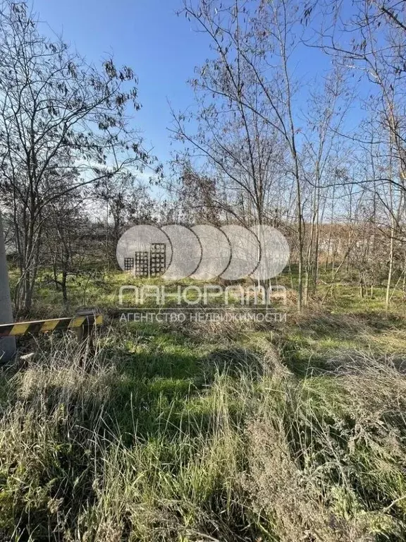 Участок в Краснодарский край, Новороссийск городской округ, ... - Фото 1