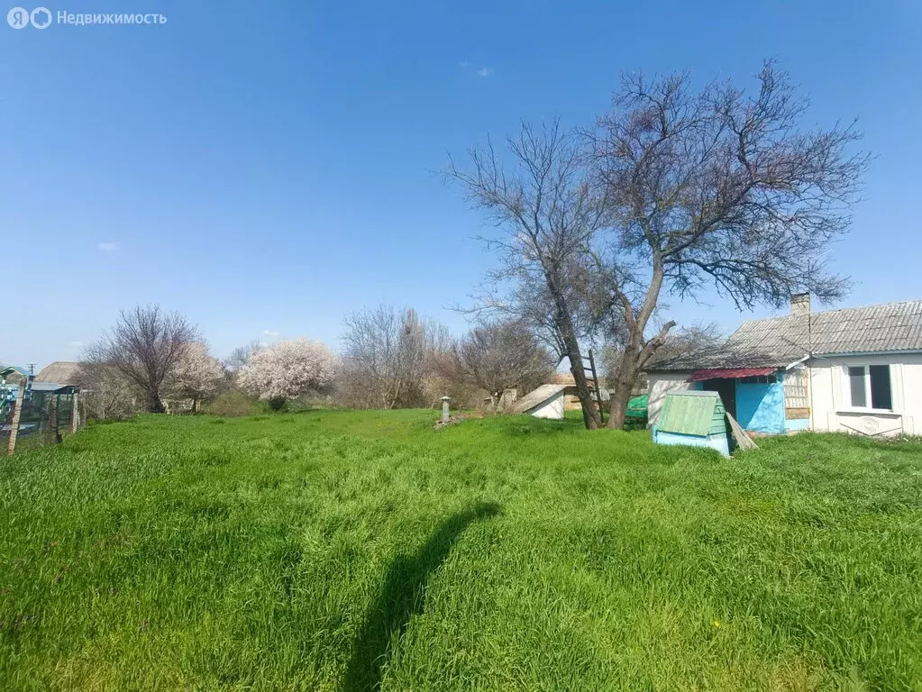 Дом в Донское сельское поселение, село Дмитрово, Кооперативная улица, ... - Фото 1