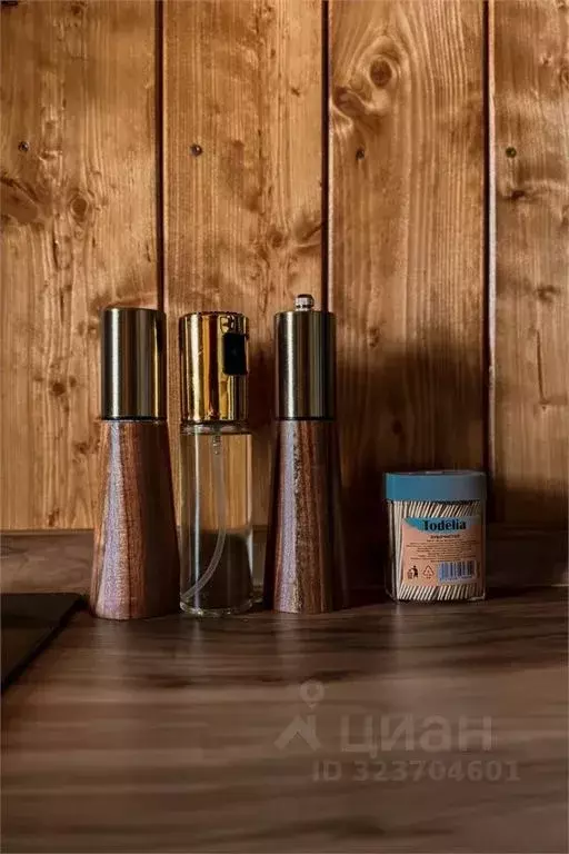 Дом в Нижегородская область, Бор  (25 м) - Фото 2